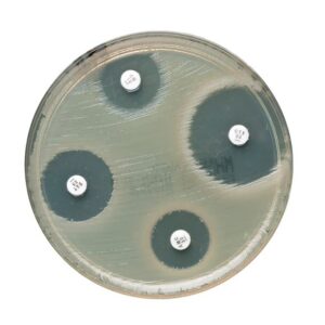 Discos con Antimicrobianos Eritromicina 15ug Tubo con 50 Discos