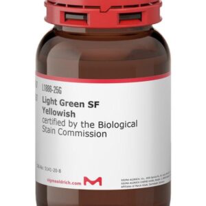 Light Gree Sf Yellowish