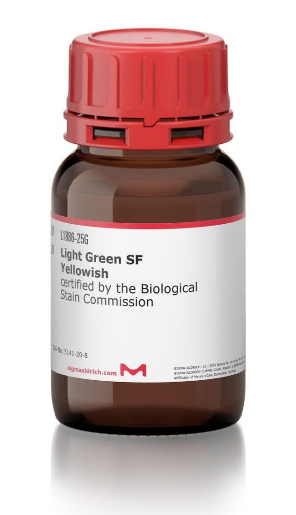 Light Gree Sf Yellowish