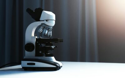 Cómo elegir el microscopio adecuado para tu laboratorio (escolar, clínico, de investigación)
