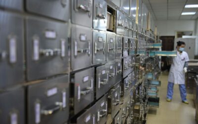 Consejos para Organizar Eficientemente el Almacén de Reactivos y Consumibles